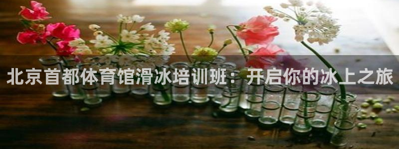 焦点娱乐有限公司招聘