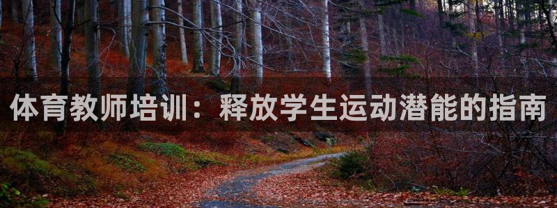 焦点娱乐说说怎么写：体育教师培训：释放学生运动潜能的