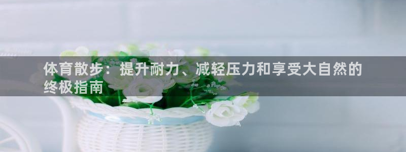 焦点娱乐官方网站下载安装：体育散步：提升耐力、减轻压