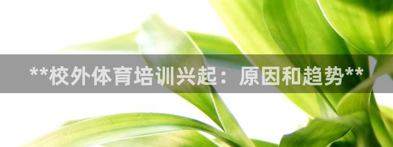 焦点娱乐平台客服热线：**校外体育培训兴起：原因和趋