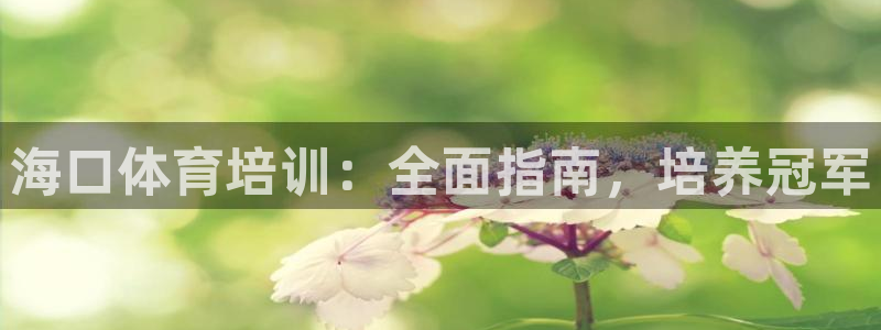 焦点娱乐平台注册账号怎么注销掉：海口体育培训：全面指