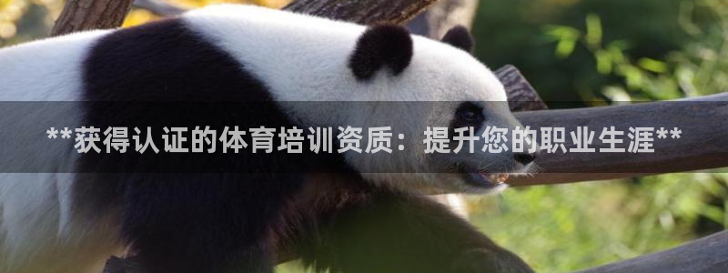 焦点娱乐vs皇族不败神话下载：**获得认证的体育培训