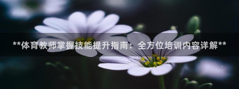 焦点娱乐网站下载地址大全：**体育教师掌握技能提升指
