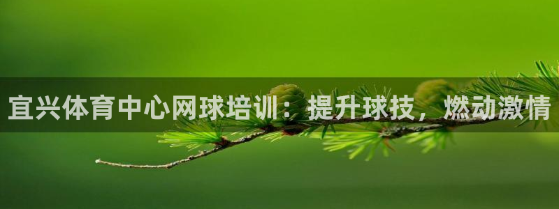 焦点娱乐官网下载安装苹果手机：宜兴体育中心网球培训：