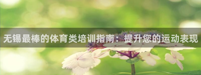 焦点娱乐app下载安装