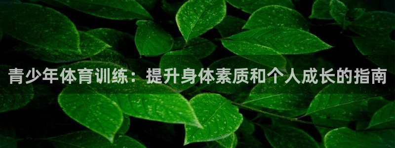 焦点娱乐传媒有限公司怎么样：青少年体育训练：提升身体