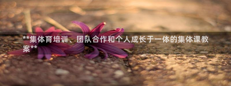 焦点娱乐平台怎么样：**集体育培训、团队合作和个人成