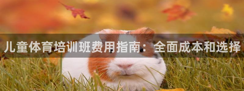 焦点娱乐官网下载安装最新版