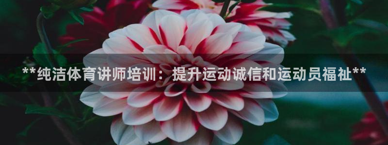焦点娱乐负责人：**纯洁体育讲师培训：提升运动诚信和