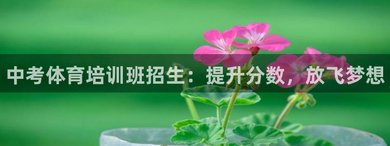焦点娱乐网站下载地址