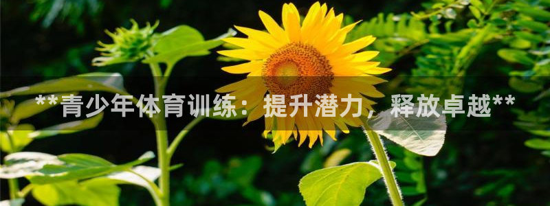 焦点娱乐力 411o31 焦点：**青少年体育训练：