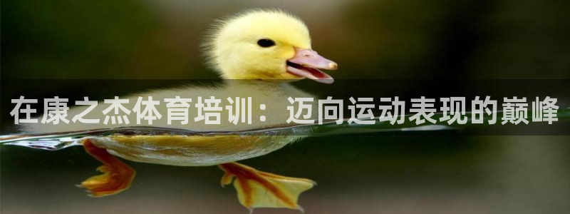 焦点娱乐皮皮虾：在康之杰体育培训：迈向运动表现的巅峰
