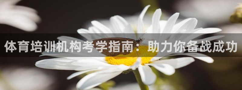 焦点娱乐说说句子：体育培训机构考学指南：助力你备战成