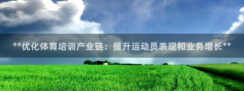 焦点娱乐开发商是谁：**优化体育培训产业链：提升运动