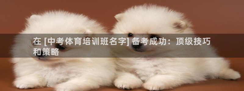 焦点娱乐平台客服热线电话：在 [中考体育培训班名字]