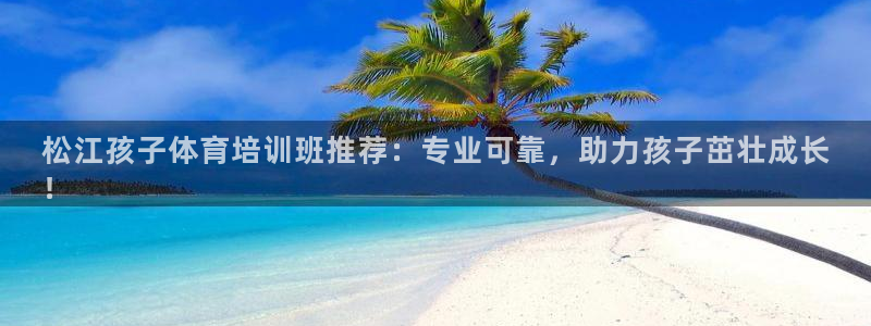 焦点娱乐开发商是谁：松江孩子体育培训班推荐：专业可靠