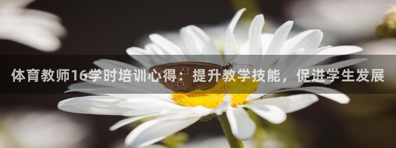 焦点娱乐平台斯7O777：体育教师16学时培训心得：