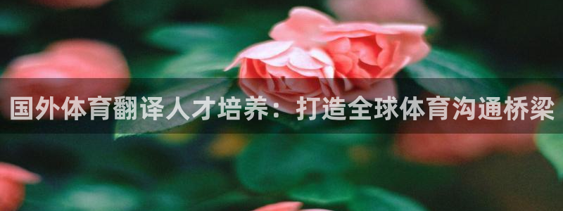 焦点娱乐app下载苹果版