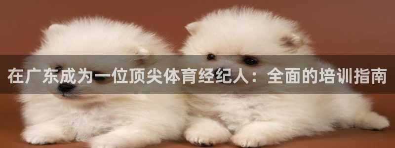 焦点娱乐拉菲11月12日：在广东成为一位顶尖体育经纪