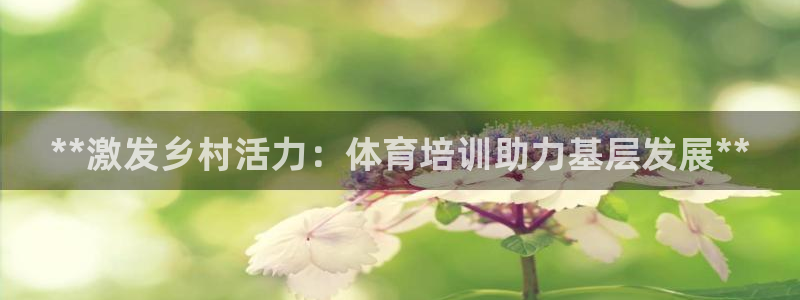焦点娱乐加速器下载安装
