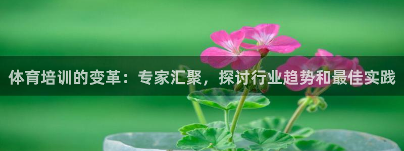 焦点娱乐平台最高待遇