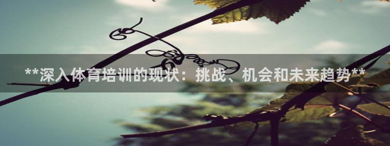 焦点娱乐带你走遍