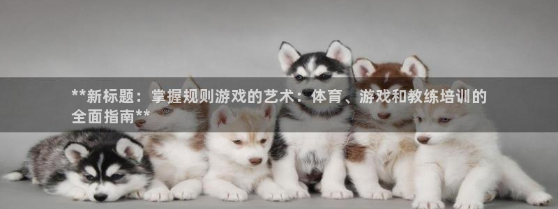 焦点娱乐网站下载地址是多少