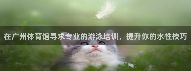 焦点娱乐公司的发展历程