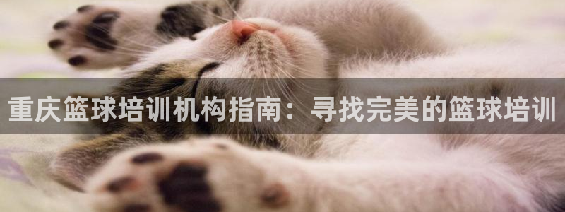 焦点娱乐网站下载地址是多少：重庆篮球培训机构指南：寻