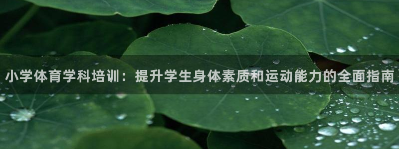 焦点娱乐是黑平台吗：小学体育学科培训：提升学生身体素
