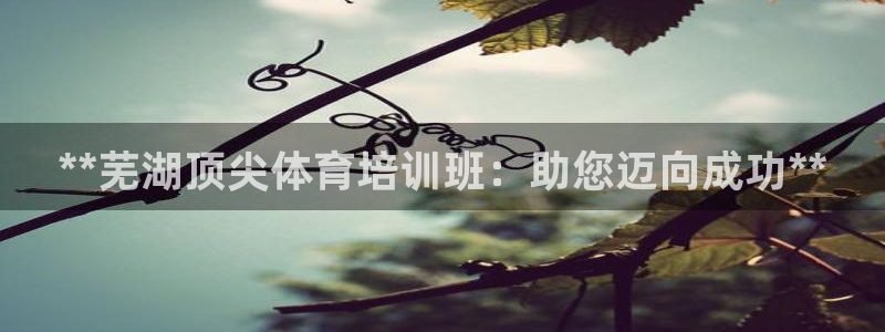 焦点娱乐拉菲：**芜湖顶尖体育培训班：助您迈向成功*