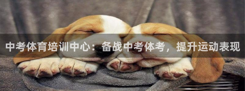 焦点娱乐挂机版下载：中考体育培训中心：备战中考体考，