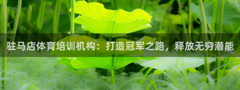 焦点娱乐公司官网：驻马店体育培训机构：打造冠军之路，