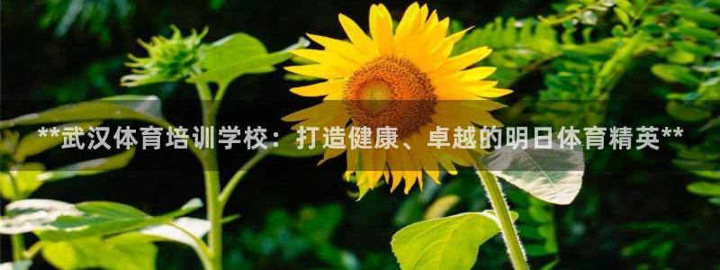焦点娱乐拉菲11：**武汉体育培训学校：打造健康、卓