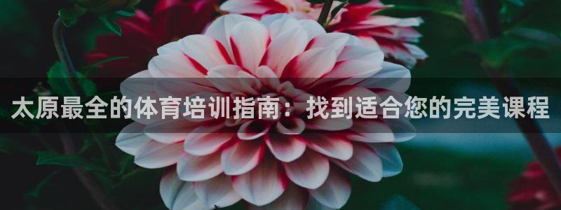焦点娱乐app下载安装：太原最全的体育培训指南：找到