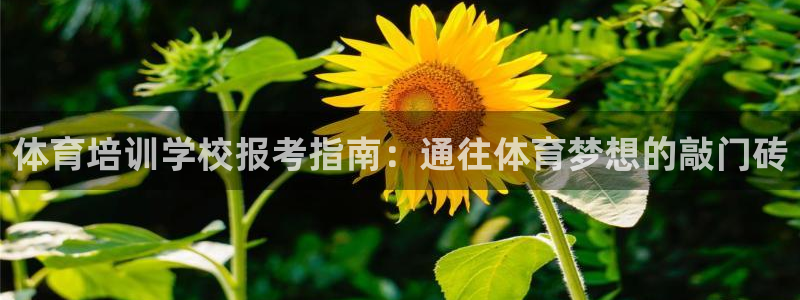 焦点娱乐可以解封银行卡吗安全吗