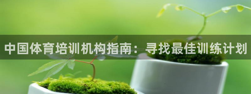 焦点娱乐传媒有限公司是干嘛的啊：中国体育培训机构指南：寻找最