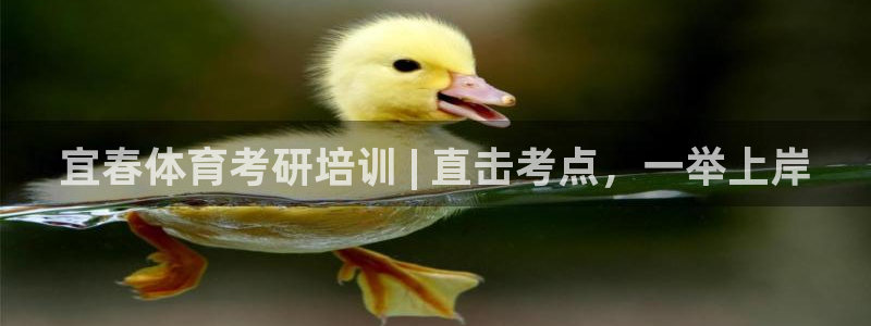 焦点娱乐传媒有限公司招聘信息：宜春体育考研培训 | 直击考点