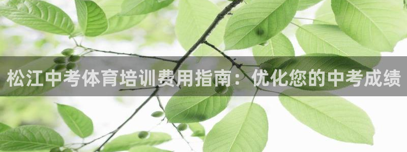 焦点娱乐拉菲11月11日：松江中考体育培训费用指南：优化您的